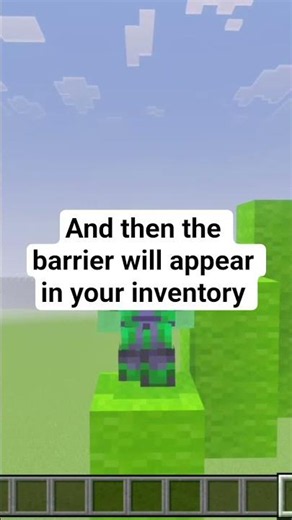 this how you get a barrier in minecraft #minecraft #fyp