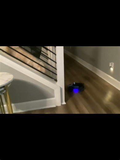 Dog vs Rc car