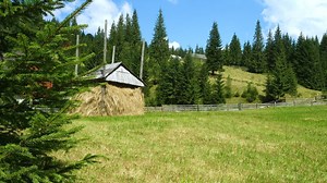 Rustic houses in a mountain surrounded by forest - Free Stock Video