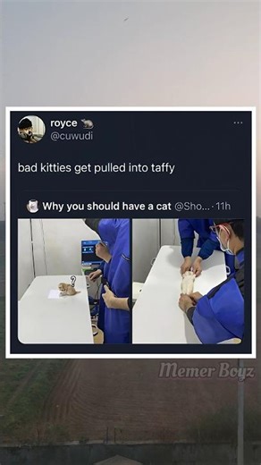 😳 “This is why you NEVER trust tiny kittens…” #cat #tinny #cute #love #doctor #surgery #exercise #dc