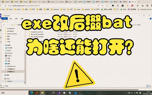 【科普】把exe后缀改成bat，为啥还能打开？