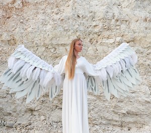 285K views · 756 reactions | DIY Fairy Wings – Bring Your Dreams to Life! | 5-Minute Crafts Men | Facebook