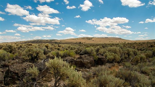 18,250-year-old human occupation discovered at Rimrock Draw, Oregon