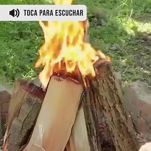 Control de llama mediante aire | Chicas Panda