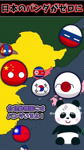 強い日本とポーランドボールの魅力