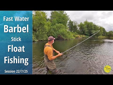 BARBEL FISHING - FANTASTIC Fast Water STICK FLOAT Fishing - River Wye - 22/7/25 (Video 592)