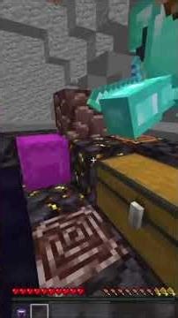 I raided this toxic streamers stash and what happened was crazy! #donutsmp #minecraft