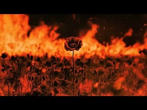 01 - Dizzy DROS - Yasuke (TPS)