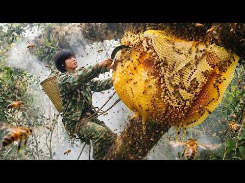 Facing Deadly Wild Bees with Smoke | Solo Survival in the Green Forest