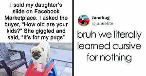 50 Memes That Might Make You Laugh So Hard You Forget What You Were Sad About