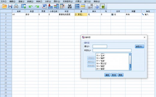 SPPS运用语法批量定义变量标签