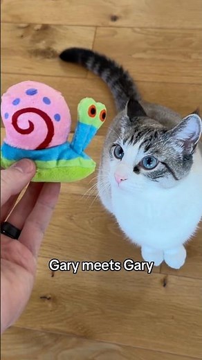 Gary meets Gary