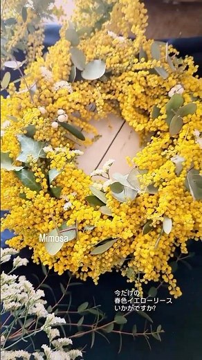 黄色は、しあわせの色。ミモザのリース。 #花のある暮らし #flowers #ミモザ #ドライフラワー