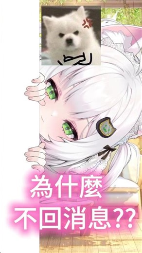 為什麼不回消息？【瑟菲娜 | Senfina】