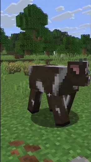 This command lets you freeze time in Minecraft. #minecraft #viralshorts