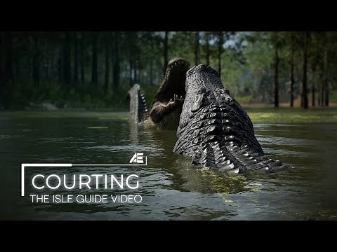 The Isle Guide: Courting