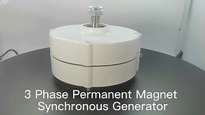 12V 24V 48V Low RPM Permanent Magnet Generator 500W PMG Alternator with DC Controller for Wind Energy Applications