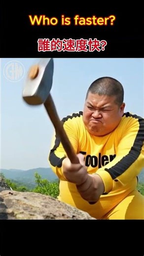 Who is faster? #Turtle #Funny #hammer