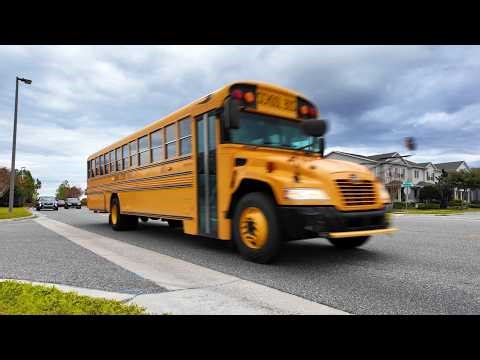 USA Traffic Ambience: Cars & Trucks Passing By for 1 Hour