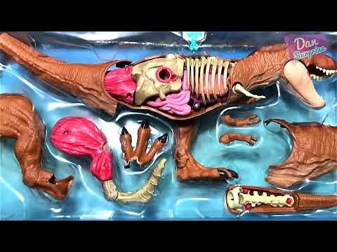 Jurassic World T-Rex Anatomy Kit