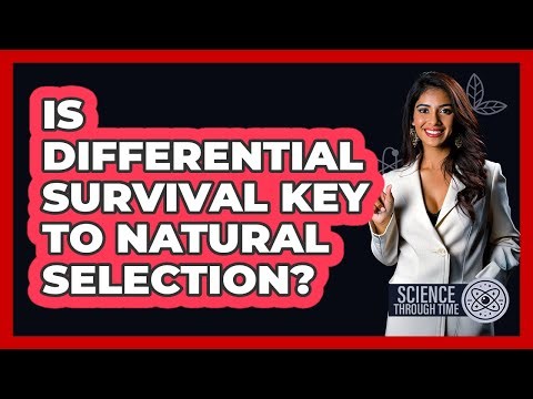 Is Differential Survival Key to Natural Selection?