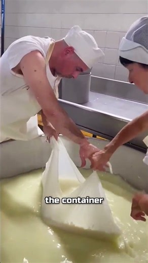 Is This Method of Making Cheese Acceptable? 🧀