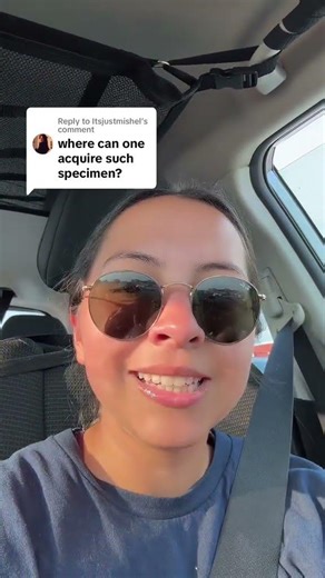 Replying to Itsjustmishel greenscreen ive said it before and... #Shorts #jocelynrising