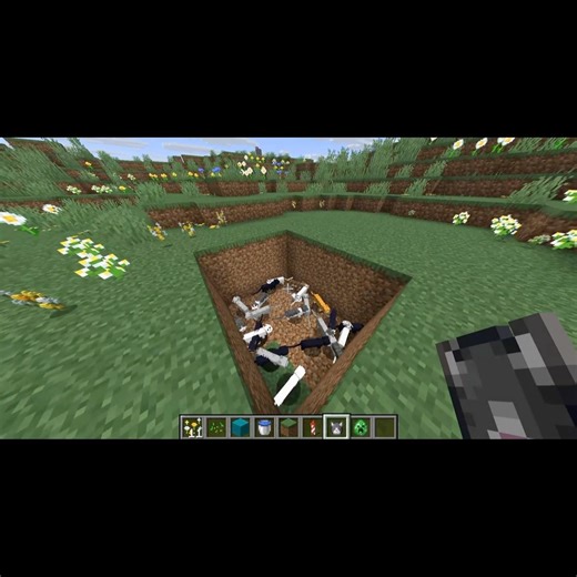 I Trapped a Creeper With a Cat 😹”