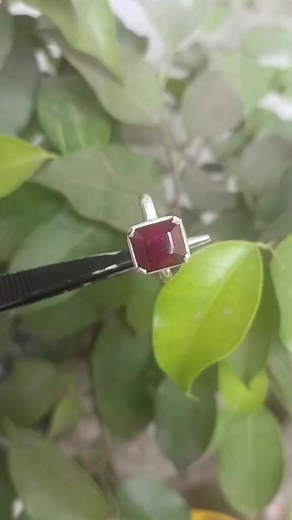 1.2K views · 14 reactions | Blood Red Ruby Ring 03464387683 #ruby #rings #viral #viralreels | Bismillah Gems | Facebook