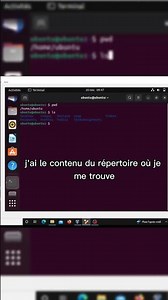 Les Bases des commandes Linux Partie 1