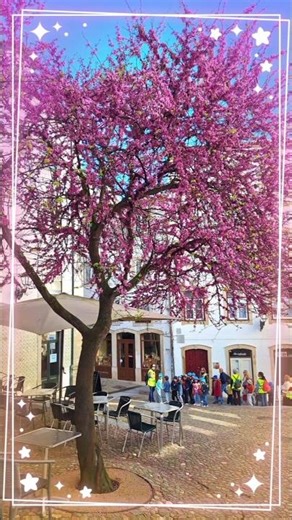 Inicio da Primavera no Hemisfério Norte