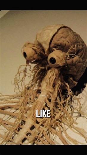 What You Actually Look Like Without Skin 😳