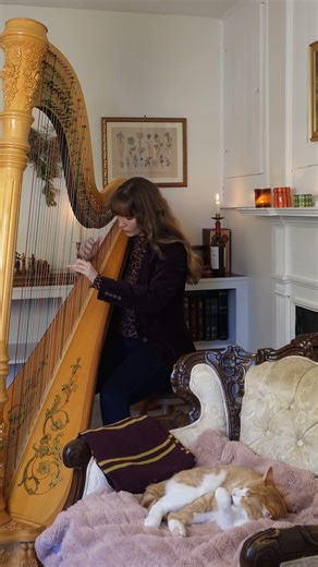 #classicalmusic #shortsfeed #orangecat #musician #harp #aesthetic