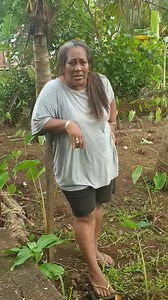 Good Morning fans❤🙏 Manuia lenei aso❤ | Queen Poke