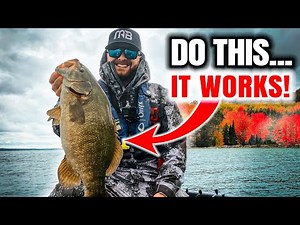 Possibly the EASIEST Fall Pattern for Smallmouth Bass