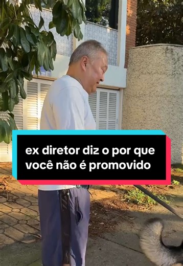 Quatro Pilares para a Promoção Profissional