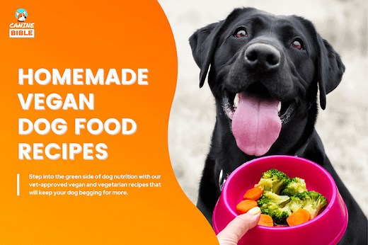 Homemade Vegan Dog Food: 10 Vet-Approved Recipes, Ingredients & Diet Plan - Canine Bible