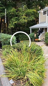 170K views · 299 reactions | Yep... Time to move house...  | Dad Jokes | Facebook