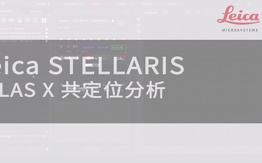 Leica STELLARIS LAS X共定位分析