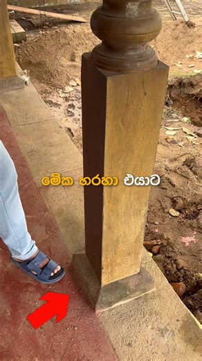 Effective Pest Control Solutions You Can Trust