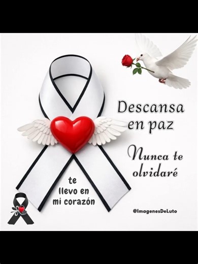 ❣🕊🌹 Descansa en paz siempre te recordaré, siempre te llevaré en mi corazón | Imagenes De Luto