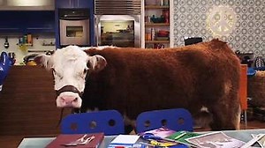 Watch Big Time Rush Season 2 Episode 15 - Green Time Rush