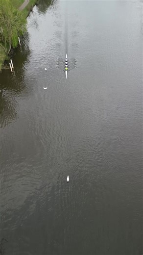 Exploring the World of Rowing and Sculling Sports