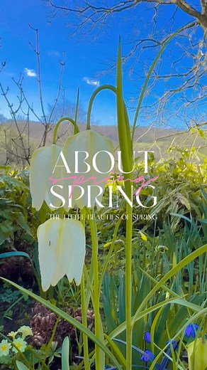 264 reactions · 29 shares | Spring vibes #reels #viral #love #video #nature #Amazing #happy #spring #weekend #LetsGrowTogether | Joyce Schofield | Facebook