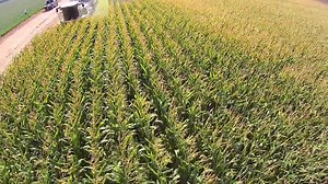 66K views · 572 reactions | Robinson Farms on Reels | Facebook