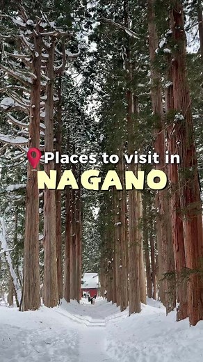 Explore Nagano: A Gateway to Nature and Winter Sports