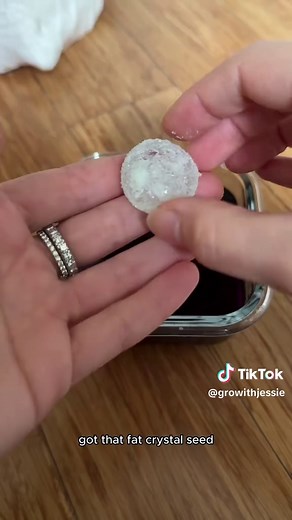 105 Days Growing Crystals: Worth the Wait?