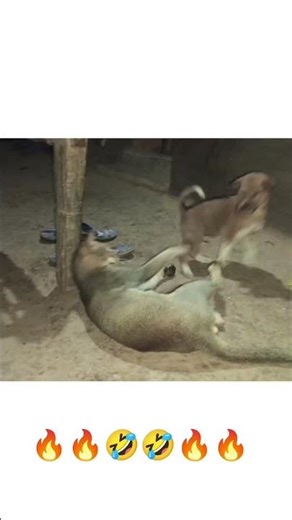 🤣🤣🤣😂😂 #comedy #funny @st babu offisial