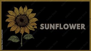 Sunflower Sign, Digital Animation, High-Definition, Animated Video, Dynamic Sign, Vibrant Motion Effects, Floral Themes, Garden Displays, Decorative Signage, Adobe Stock, Sunflower Animation, Traffic Stock Video