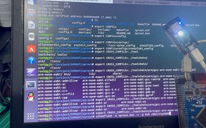 【搞linux的旺仔】ubuntu上开发单片机，stm32 esp32等， 一套代码适用于所有单片机。资料链接在闲鱼上。看下方评论区